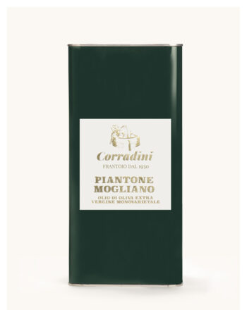 Piantone Mogliano Lattina da 5 lt + farina in omaggio